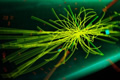 higgs lhc boson higgs boson physics science research particles